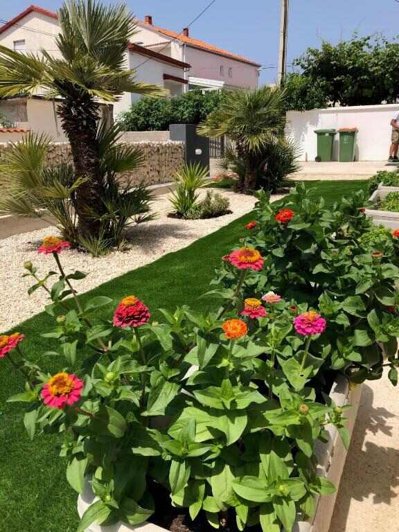 Garden with palms and flowers